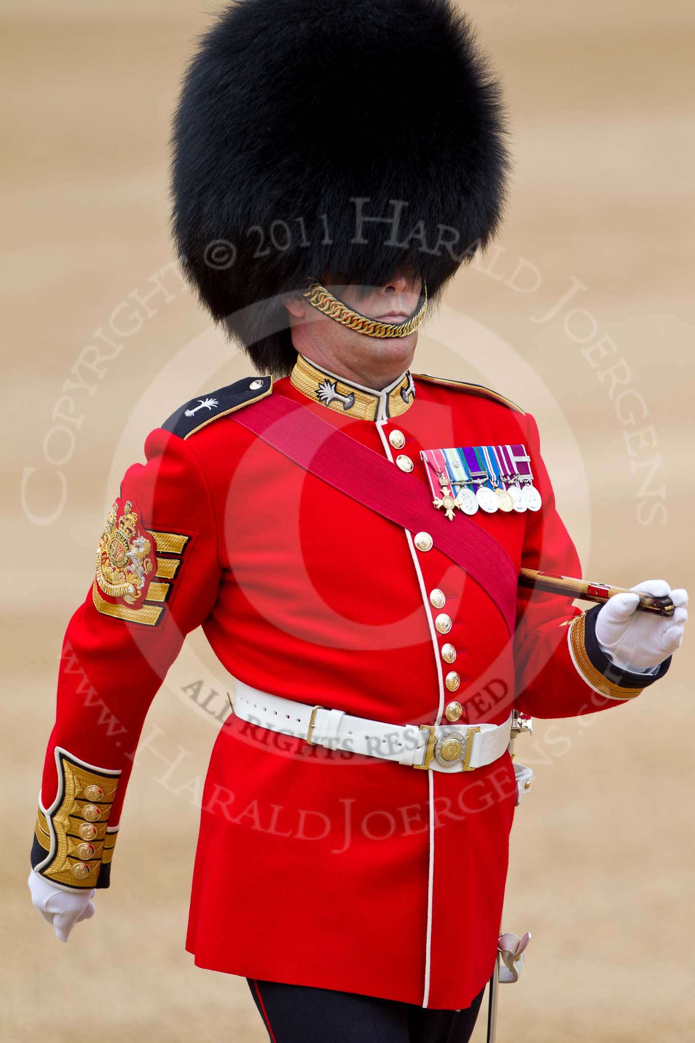 The Major General's Review 2011: Close-up of Garrison Sergeant Major, WO1 William Mott OBE, Welsh Guards..
Horse Guards Parade, Westminster,
London SW1,
Greater London,
United Kingdom,
on 28 May 2011 at 10:32, image #58