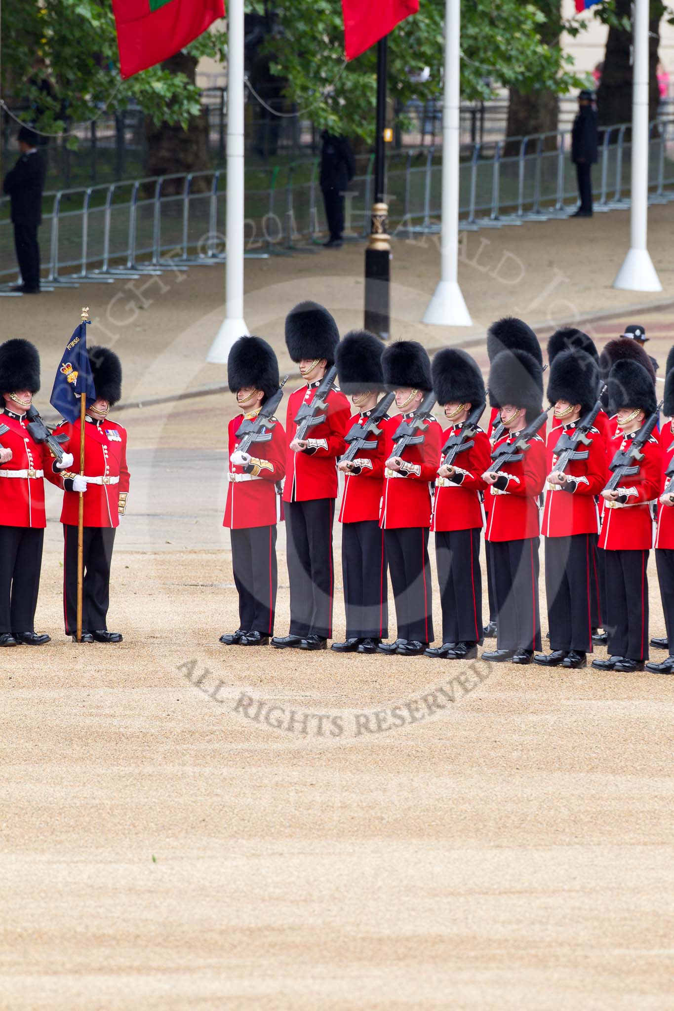 The Major General's Review 2011: No. 6 Guard, No. 7 Company Coldstream Guards..
Horse Guards Parade, Westminster,
London SW1,
Greater London,
United Kingdom,
on 28 May 2011 at 10:36, image #64