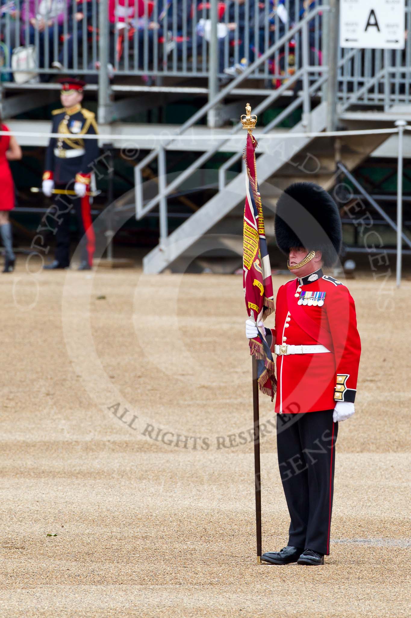 The Major General's Review 2011: Colour Sergeant Chris Millin, Scots Guards, holding the already uncased Colour..
Horse Guards Parade, Westminster,
London SW1,
Greater London,
United Kingdom,
on 28 May 2011 at 10:37, image #66