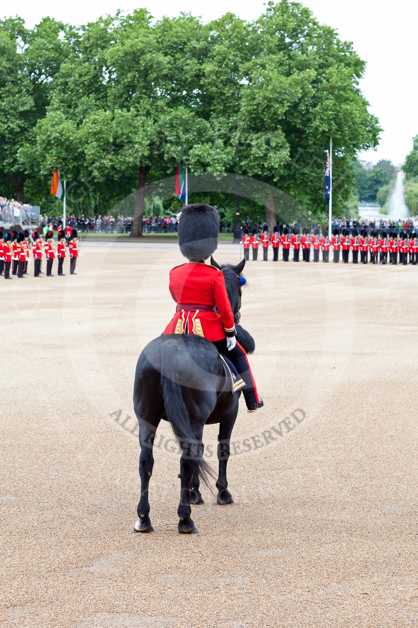 The Major General's Review 2011: The Major of the Parade, Major Benedict Peter Norman Ramsay, Welsh Guards. On the left the Massed Bands, in front No. 1 Guard. In the background, spectators watching from St. James's Park..
Horse Guards Parade, Westminster,
London SW1,
Greater London,
United Kingdom,
on 28 May 2011 at 10:38, image #69