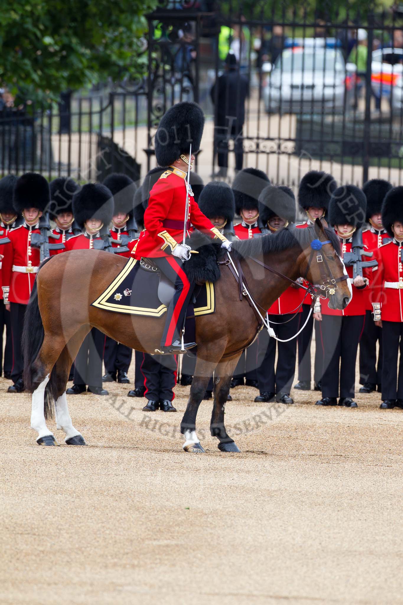The Major General's Review 2011: The Field Office in Brigade Waiting, Lieutenant Colonel L P M Jopp, Scots Guards, riding 'Burniston'. Behind, No. 3 (?) Guard, F Company Scots Guards, behind them St. James's Park..
Horse Guards Parade, Westminster,
London SW1,
Greater London,
United Kingdom,
on 28 May 2011 at 10:49, image #84