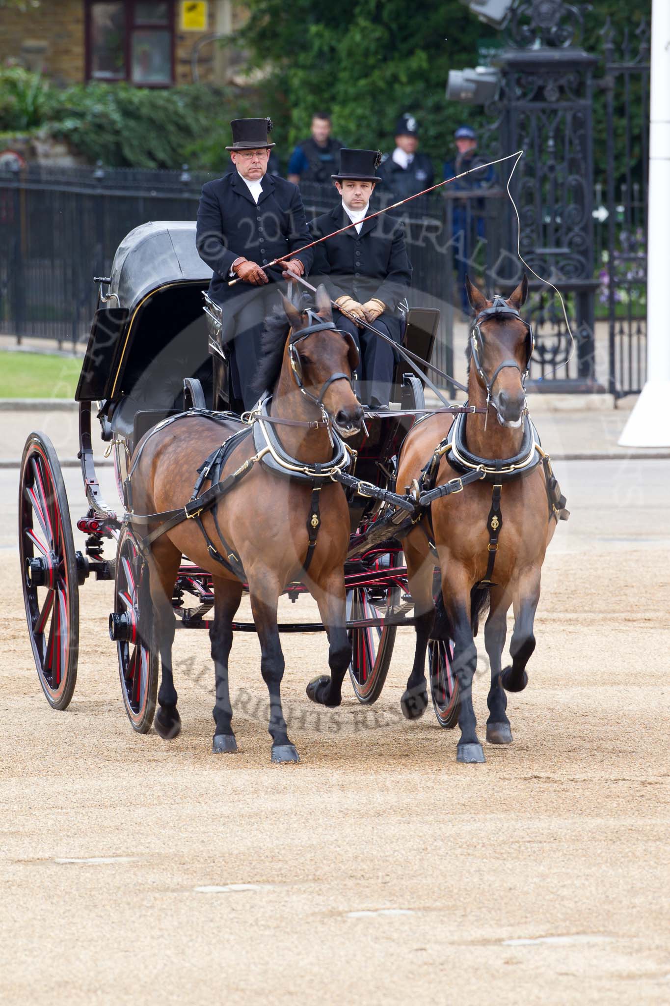 The Major General's Review 2011: The first of the two barouche carriages that would bring members of the Royal Family onto Horse Guards Parade before the Royal Procession..
Horse Guards Parade, Westminster,
London SW1,
Greater London,
United Kingdom,
on 28 May 2011 at 10:50, image #85