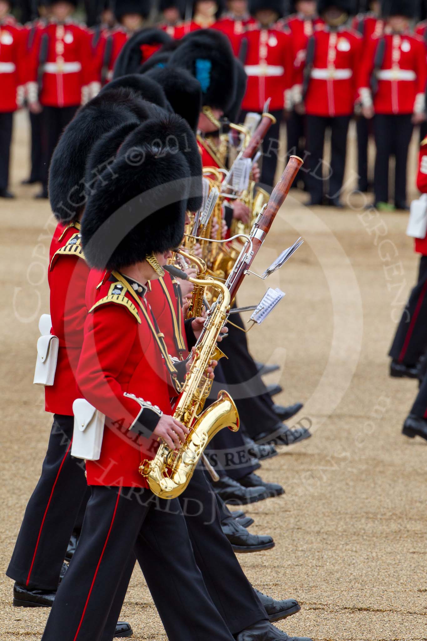 The Major General's Review 2011: Musicians of the Band of the Grenadier Guards..
Horse Guards Parade, Westminster,
London SW1,
Greater London,
United Kingdom,
on 28 May 2011 at 11:09, image #136