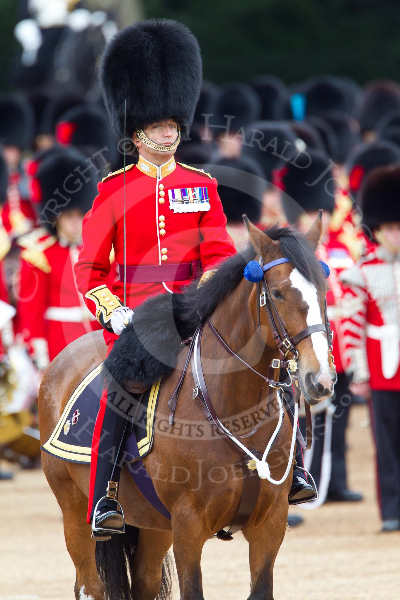 The Major General's Review 2011: Commanding the Collection of the Colour, the Field Officer, Lieutenant Colonel L P M Jopp, riding 'Burniston'..
Horse Guards Parade, Westminster,
London SW1,
Greater London,
United Kingdom,
on 28 May 2011 at 11:19, image #156