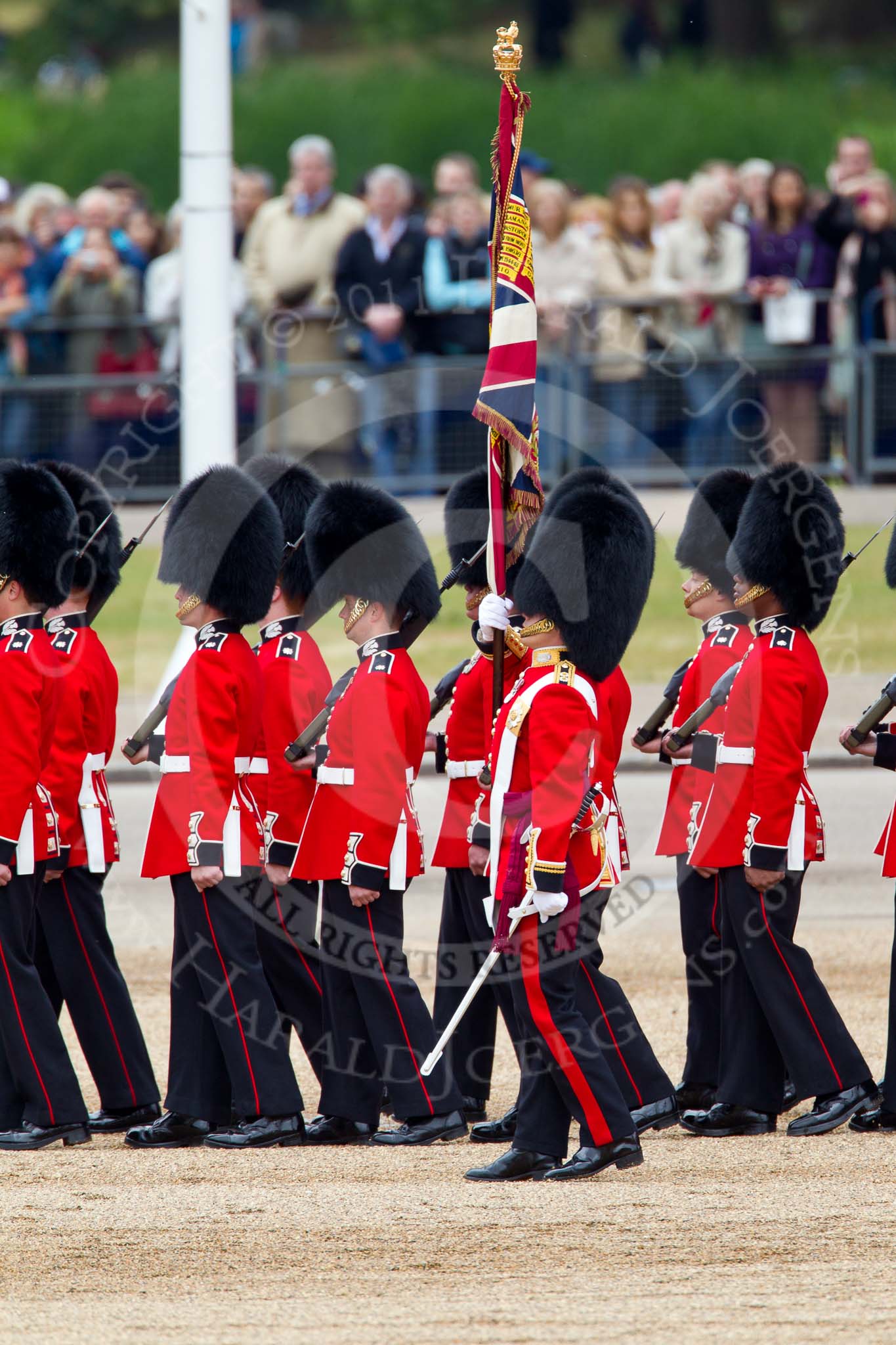 The Major General's Review 2011: The Escort to the Colour, No. 1 Guard, 1st Battalion Scots Guards, trooping the Colour. In front the Ensign, Lieutenant Tom Ogilvy, carrying the flag in his white colour belt..
Horse Guards Parade, Westminster,
London SW1,
Greater London,
United Kingdom,
on 28 May 2011 at 11:26, image #178