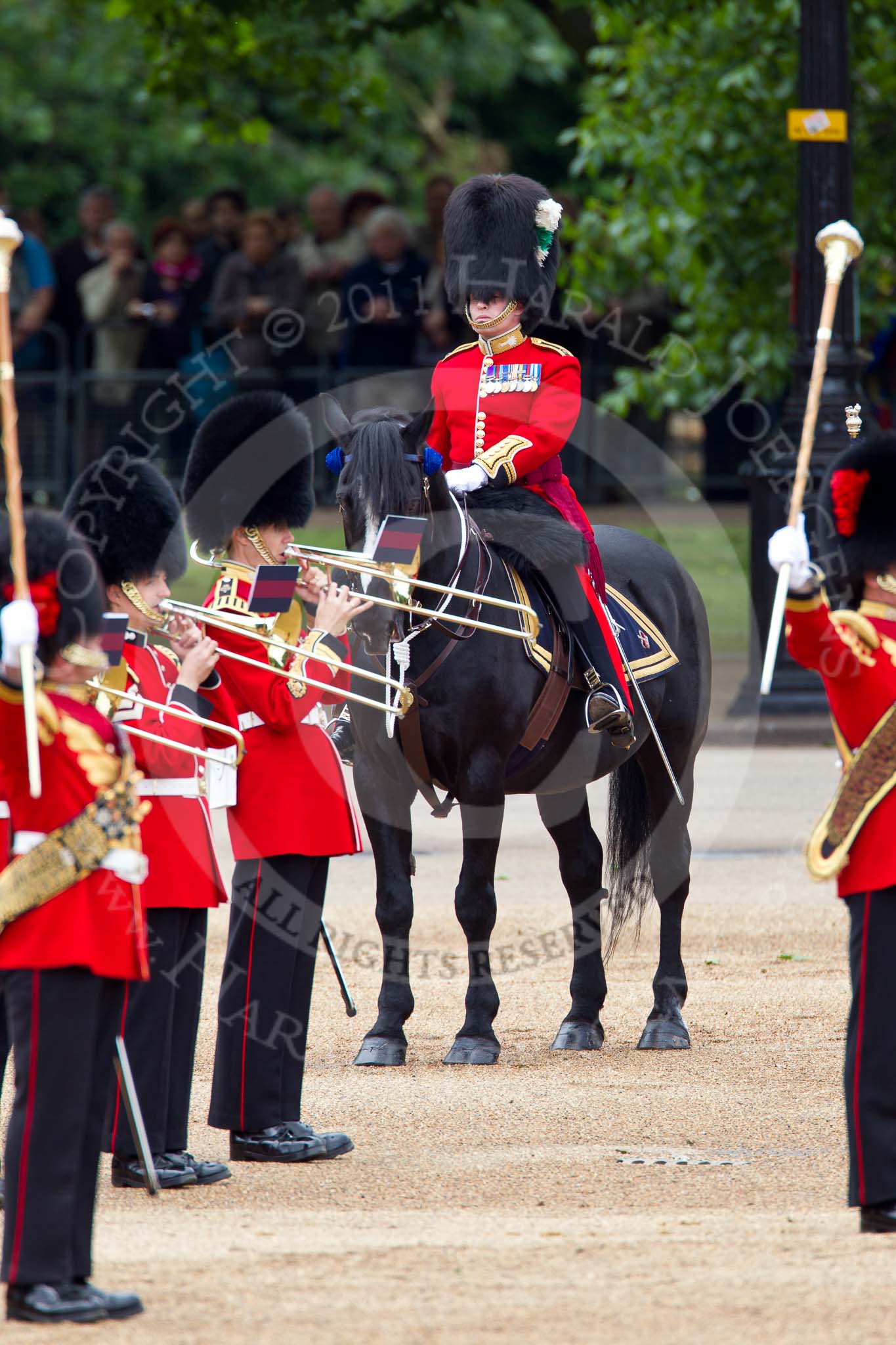 The Major General's Review 2011: Behind the Massed Bands the Major of the Parade, Major Benedict Peter Norman Ramsay, Welsh Guards..
Horse Guards Parade, Westminster,
London SW1,
Greater London,
United Kingdom,
on 28 May 2011 at 11:27, image #179