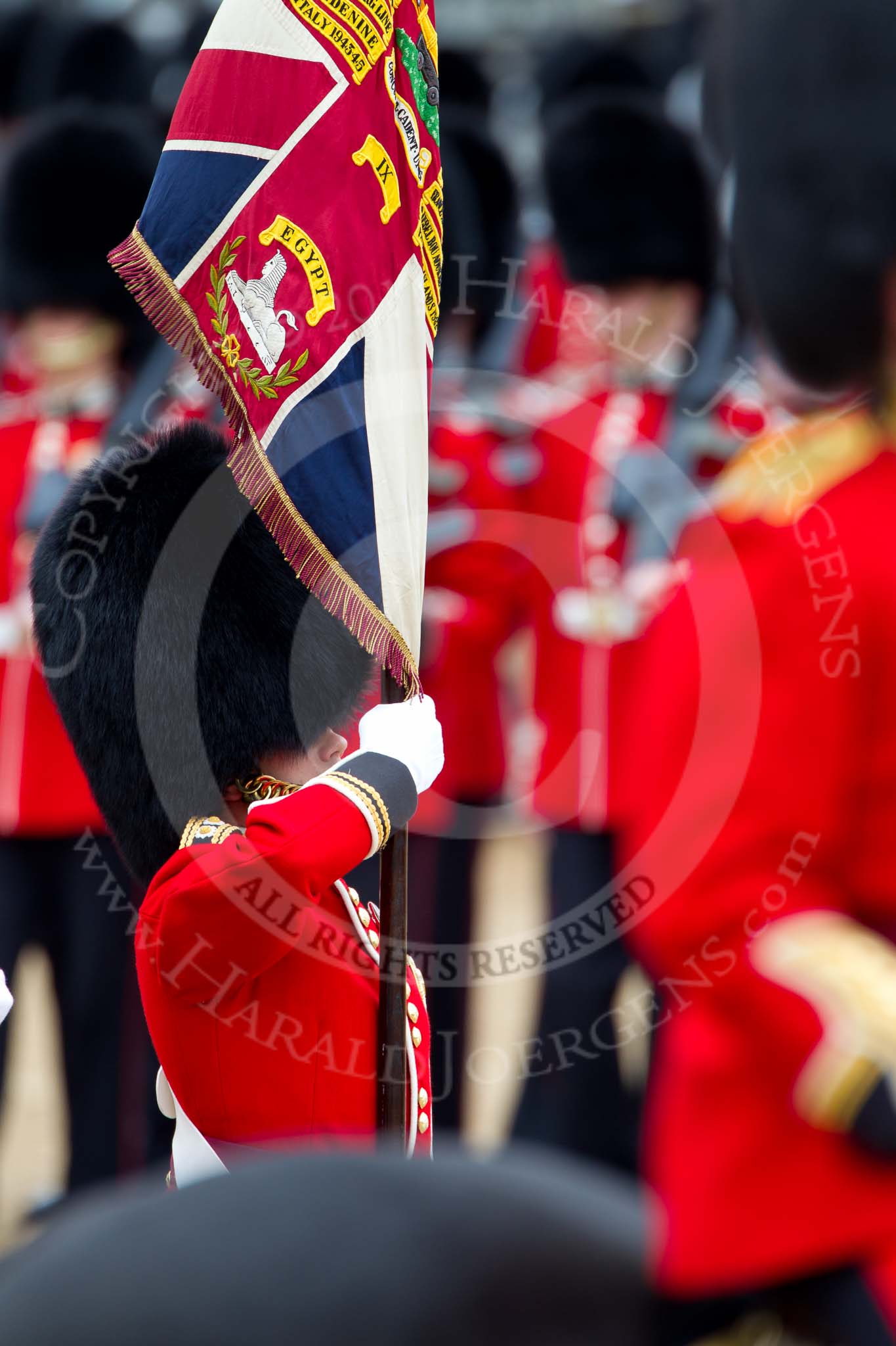 The Major General's Review 2011: Close-up of the the Ensign, Lieutenant Tom Ogilvy, carrying the Colour..
Horse Guards Parade, Westminster,
London SW1,
Greater London,
United Kingdom,
on 28 May 2011 at 11:34, image #200