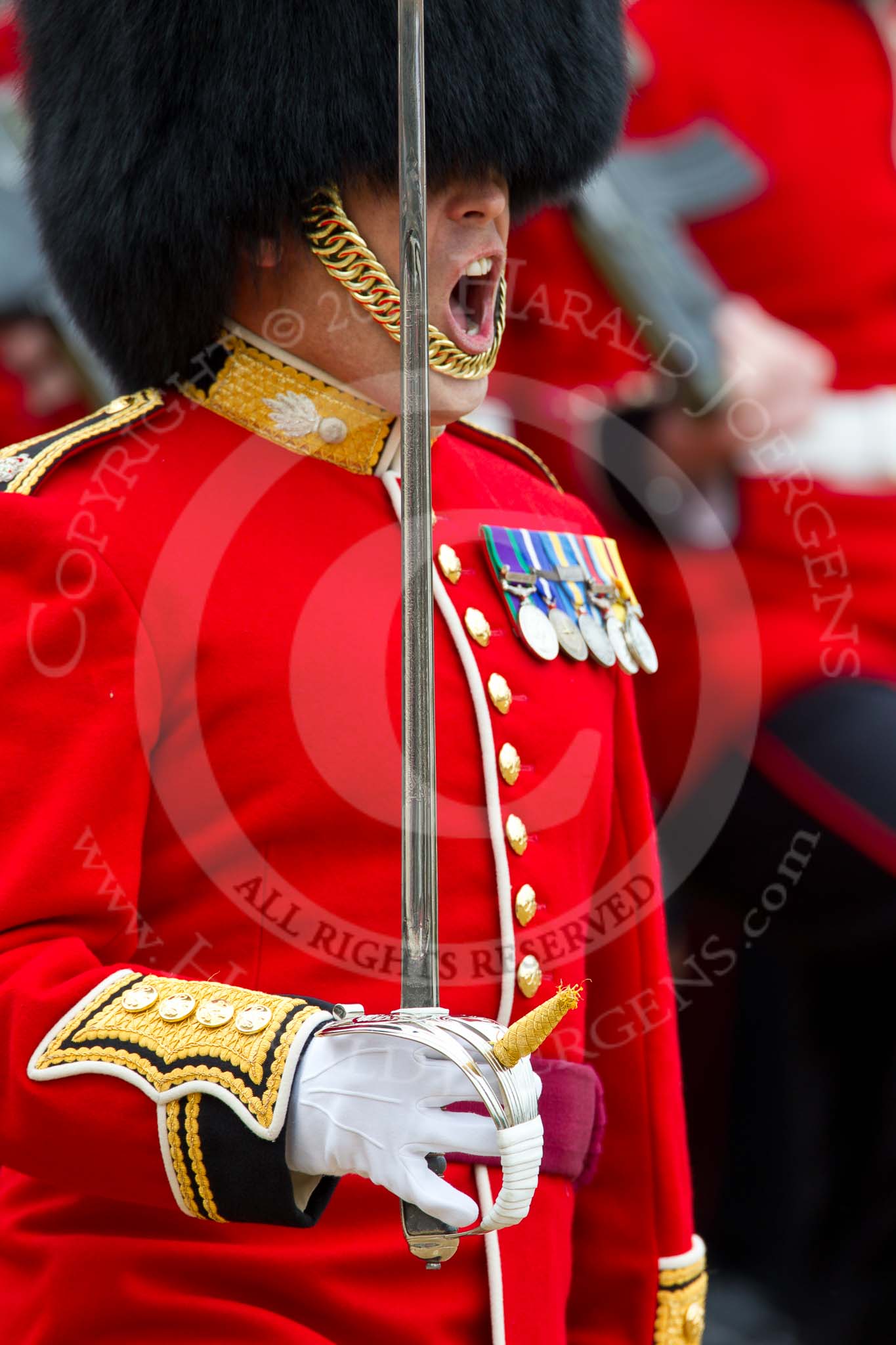 The Major General's Review 2011: Close-up of Major R E King-Evans, No. 4 Guard (Nijmegen Company Grenadier Guards)..
Horse Guards Parade, Westminster,
London SW1,
Greater London,
United Kingdom,
on 28 May 2011 at 11:36, image #206
