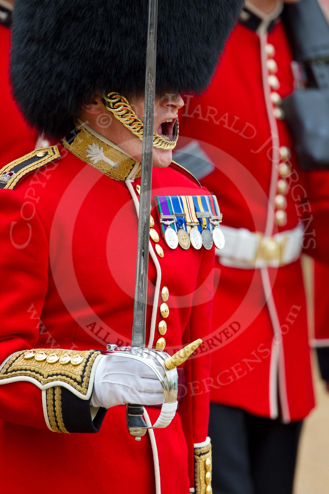 The Major General's Review 2011: Close-up of Major E J Mellish, No. 5 Guard (1st Battalion Welsh Guards)..
Horse Guards Parade, Westminster,
London SW1,
Greater London,
United Kingdom,
on 28 May 2011 at 11:37, image #207