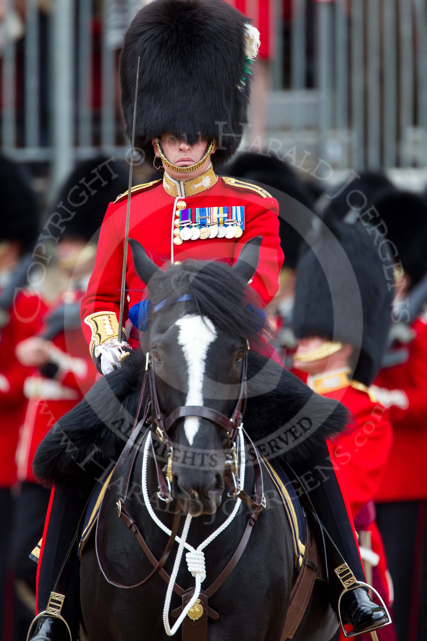 The Major General's Review 2011: The Major of the Parade, Major Benedict Peter Norman Ramsay, Welsh Guards..
Horse Guards Parade, Westminster,
London SW1,
Greater London,
United Kingdom,
on 28 May 2011 at 11:44, image #224