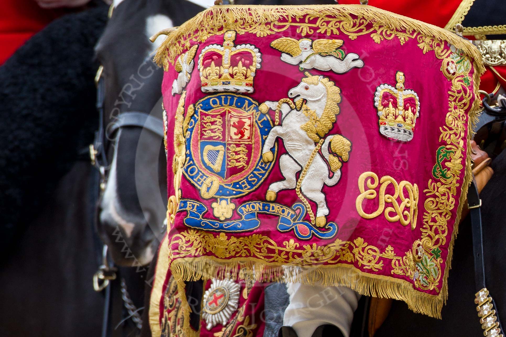 The Major General's Review 2011: Close-up of the drum banner of a kettle drum from the Band of the Blues and Royals..
Horse Guards Parade, Westminster,
London SW1,
Greater London,
United Kingdom,
on 28 May 2011 at 11:56, image #249