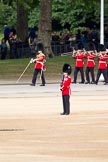 The Major General's Review 2011: Drum Major Scott Fitzgerald, Coldstream Guards, leading the Band of the Coldstream Guards along Horse Guards Road towards the parade ground..
Horse Guards Parade, Westminster,
London SW1,
Greater London,
United Kingdom,
on 28 May 2011 at 10:24, image #35