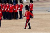 The Major General's Review 2011: The guards have arrived at Horse Guards Parade, being marched from Wellington Barracks by the Subalterns. The Subalterns from the Welsh Guards (at the very left) and Coldstream Guards (centre) are now marching together to Horse Guards Arch..
Horse Guards Parade, Westminster,
London SW1,
Greater London,
United Kingdom,
on 28 May 2011 at 10:29, image #47