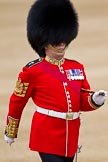The Major General's Review 2011: Close-up of Garrison Sergeant Major, WO1 William Mott OBE, Welsh Guards..
Horse Guards Parade, Westminster,
London SW1,
Greater London,
United Kingdom,
on 28 May 2011 at 10:32, image #58