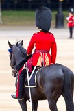 The Major General's Review 2011: The Adjutant of the Parade, Captain Hamish Barne, 1st Battalion Scots Guards..
Horse Guards Parade, Westminster,
London SW1,
Greater London,
United Kingdom,
on 28 May 2011 at 10:35, image #61