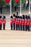 The Major General's Review 2011: No. 6 Guard, No. 7 Company Coldstream Guards..
Horse Guards Parade, Westminster,
London SW1,
Greater London,
United Kingdom,
on 28 May 2011 at 10:36, image #64