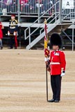 The Major General's Review 2011: Colour Sergeant Chris Millin, Scots Guards, holding the already uncased Colour..
Horse Guards Parade, Westminster,
London SW1,
Greater London,
United Kingdom,
on 28 May 2011 at 10:37, image #66