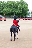 The Major General's Review 2011: The Major of the Parade, Major Benedict Peter Norman Ramsay, Welsh Guards. On the left the Massed Bands, in front No. 1 Guard. In the background, spectators watching from St. James's Park..
Horse Guards Parade, Westminster,
London SW1,
Greater London,
United Kingdom,
on 28 May 2011 at 10:38, image #69