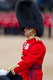 The Major General's Review 2011: Close-up of  the Adjutant of the Parade, Captain Hamish Barne, 1st Battalion Scots Guards, who is Adjutant of the 1st Battalion Scots Guards..
Horse Guards Parade, Westminster,
London SW1,
Greater London,
United Kingdom,
on 28 May 2011 at 10:40, image #73