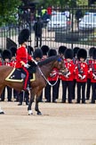 The Major General's Review 2011: The Field Office in Brigade Waiting, Lieutenant Colonel L P M Jopp, Scots Guards, riding 'Burniston'. Behind, No. 3 (?) Guard, F Company Scots Guards..
Horse Guards Parade, Westminster,
London SW1,
Greater London,
United Kingdom,
on 28 May 2011 at 10:46, image #81