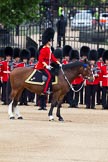 The Major General's Review 2011: The Field Office in Brigade Waiting, Lieutenant Colonel L P M Jopp, Scots Guards, riding 'Burniston'. Behind, No. 3 (?) Guard, F Company Scots Guards, behind them St. James's Park..
Horse Guards Parade, Westminster,
London SW1,
Greater London,
United Kingdom,
on 28 May 2011 at 10:49, image #84