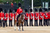 The Major General's Review 2011: The Field Officer, Lieutenant Colonel L P M Jopp, riding 'Burniston', in front of No. 2 Guard, B Company Scots Guards..
Horse Guards Parade, Westminster,
London SW1,
Greater London,
United Kingdom,
on 28 May 2011 at 10:53, image #91