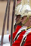 The Major General's Review 2011: Close-up of Troopers of The Life Guards in front of the Royal Procession..
Horse Guards Parade, Westminster,
London SW1,
Greater London,
United Kingdom,
on 28 May 2011 at 10:58, image #98