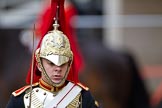 The Major General's Review 2011: Close-up of one of the four Troopers of the Blues and Royals, riding at the rear of the Royal Procession..
Horse Guards Parade, Westminster,
London SW1,
Greater London,
United Kingdom,
on 28 May 2011 at 11:02, image #115
