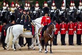 The Major General's Review 2011: The Inspection of the Line. The 'Royal Party', here the Crown Equerry and Equerry in Waiting, are riding behind the Field Officer, Lieutenant Colonel L P M Jopp, inspecting No. 2 Guard. In the background The Blues and Royals, Household Cavarly..
Horse Guards Parade, Westminster,
London SW1,
Greater London,
United Kingdom,
on 28 May 2011 at 11:03, image #120