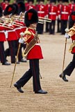 The Major General's Review 2011: Drum Major Tony Taylor, No. 7 Company Coldstream Guards, leading the Band of the Irish Guards..
Horse Guards Parade, Westminster,
London SW1,
Greater London,
United Kingdom,
on 28 May 2011 at 11:08, image #134