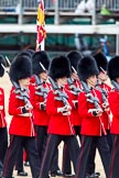 The Major General's Review 2011: The Colour is now with the Escort to the Colour, and the Trooping of the Colour is about to begin..
Horse Guards Parade, Westminster,
London SW1,
Greater London,
United Kingdom,
on 28 May 2011 at 11:22, image #167