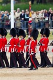 The Major General's Review 2011: The Escort to the Colour, No. 1 Guard, 1st Battalion Scots Guards, trooping the Colour. In front the Ensign, Lieutenant Tom Ogilvy, carrying the flag in his white colour belt..
Horse Guards Parade, Westminster,
London SW1,
Greater London,
United Kingdom,
on 28 May 2011 at 11:26, image #178