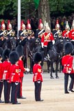 The Major General's Review 2011: The Mounted Bands of the Household Cavalry. On the left the Band of the Blues and Royals, on the right The Life Guards Band. In the middle, in red, the Director of Music, Major K L Davies, The Life Guards..
Horse Guards Parade, Westminster,
London SW1,
Greater London,
United Kingdom,
on 28 May 2011 at 11:29, image #184