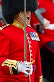 The Major General's Review 2011: Close-up of Major R E King-Evans, No. 4 Guard (Nijmegen Company Grenadier Guards)..
Horse Guards Parade, Westminster,
London SW1,
Greater London,
United Kingdom,
on 28 May 2011 at 11:36, image #206