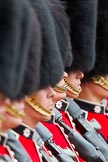 The Major General's Review 2011: Close-up of a row of guardsmen from the Coldstream Guards..
Horse Guards Parade, Westminster,
London SW1,
Greater London,
United Kingdom,
on 28 May 2011 at 11:38, image #209