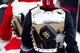 The Major General's Review 2011: The shield of a guardsman from The Blues and Royals, reflecting Horse Guards Building with the grand stands in front..
Horse Guards Parade, Westminster,
London SW1,
Greater London,
United Kingdom,
on 28 May 2011 at 12:10, image #286