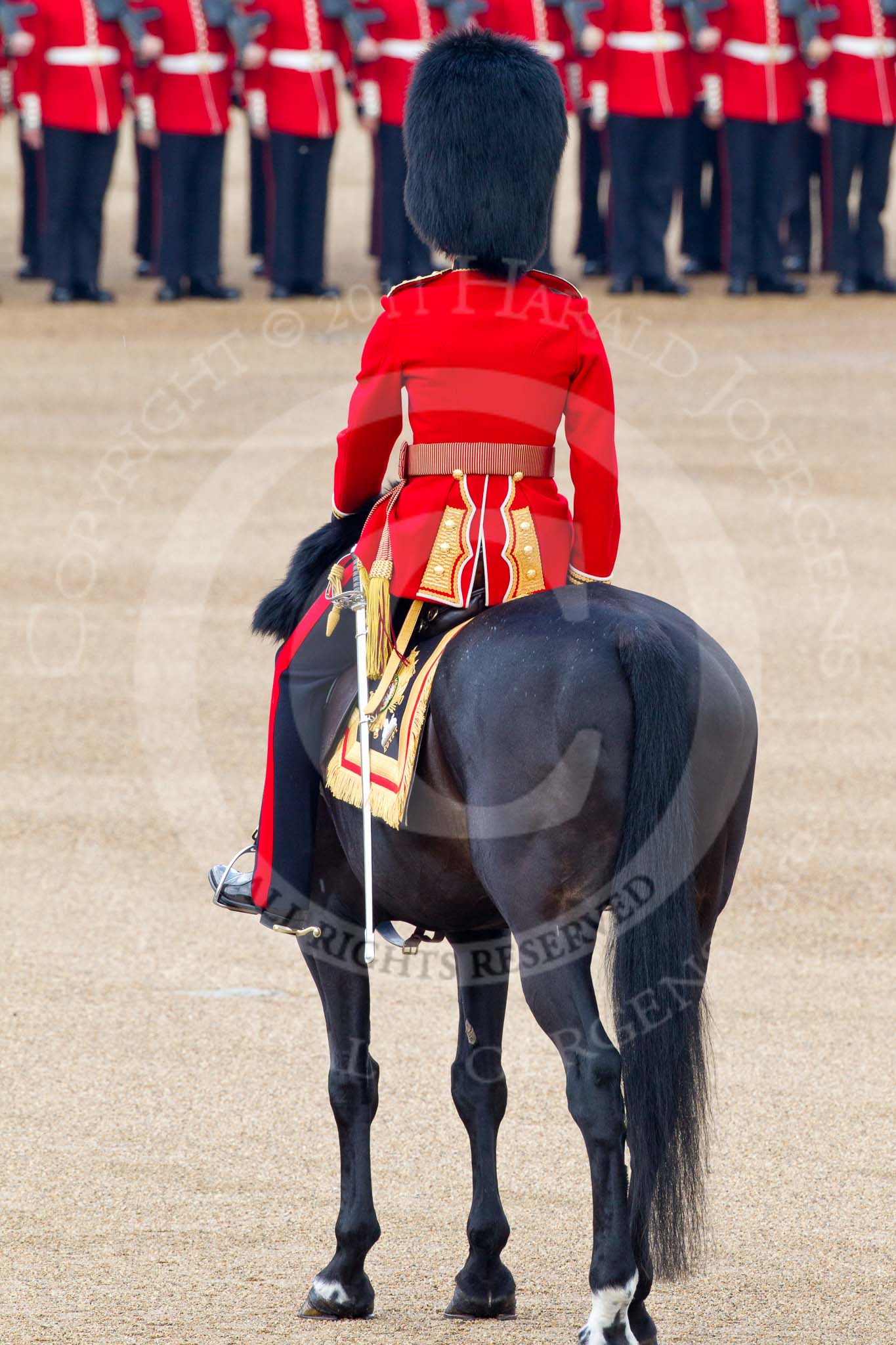 Trooping the Colour 2011: The Adjutant of the Parade, Captain Hamish Barne, 1st Battalion Scots. Guards..
Horse Guards Parade, Westminster,
London SW1,
Greater London,
United Kingdom,
on 11 June 2011 at 10:36, image #59