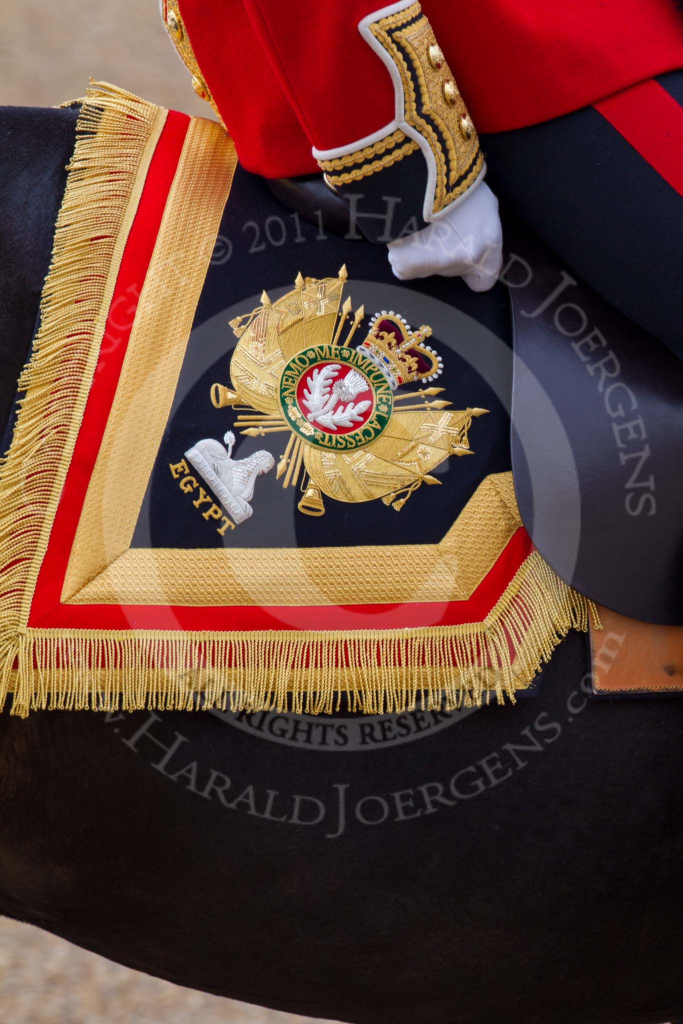 Trooping the Colour 2011: Detail of the saddle pad, the embroidery says 'Nemo me impune lacessit' - the (Latin) motto of the three Scottish regiments in the British Army, meaning 'No one attacks me with impunity'..
Horse Guards Parade, Westminster,
London SW1,
Greater London,
United Kingdom,
on 11 June 2011 at 10:40, image #67