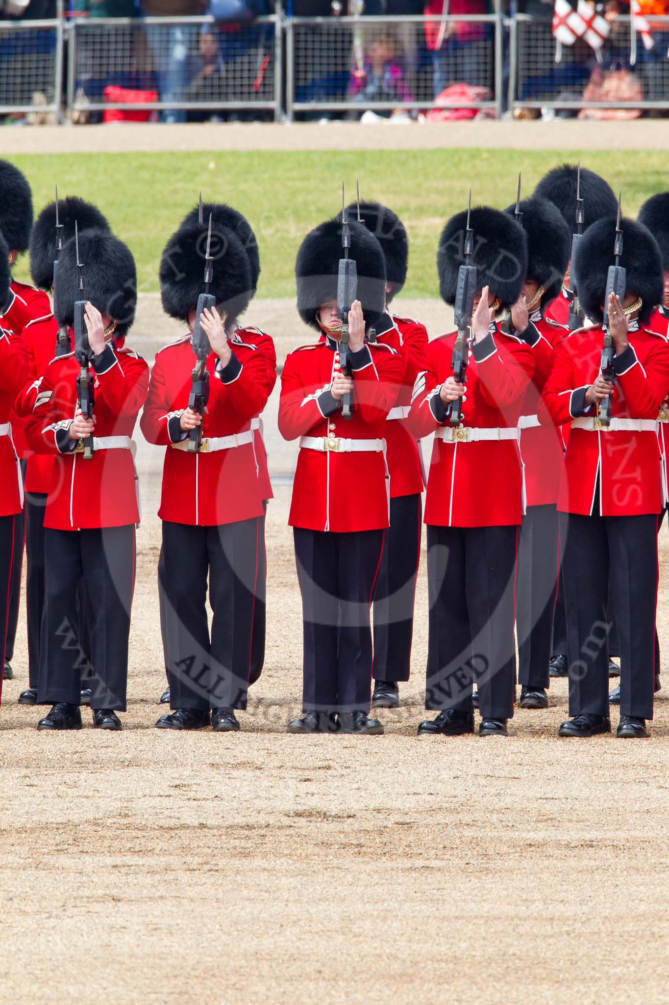 Trooping the Colour 2011: No. 2 Guard, B Company Scots Guards, presenting arms, as the Colour is trooped along the line of guards..
Horse Guards Parade, Westminster,
London SW1,
Greater London,
United Kingdom,
on 11 June 2011 at 11:28, image #217