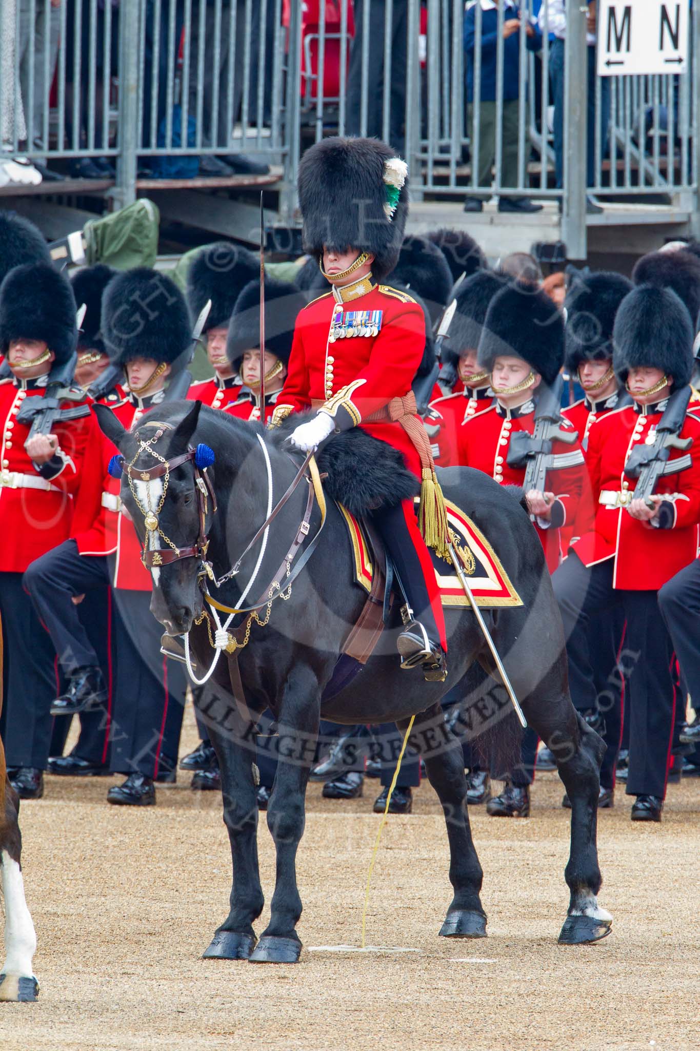 Trooping the Colour 2011: The Major of the Parade, Major Benedict Peter Norman Ramsay, Welsh Guards..
Horse Guards Parade, Westminster,
London SW1,
Greater London,
United Kingdom,
on 11 June 2011 at 11:33, image #228