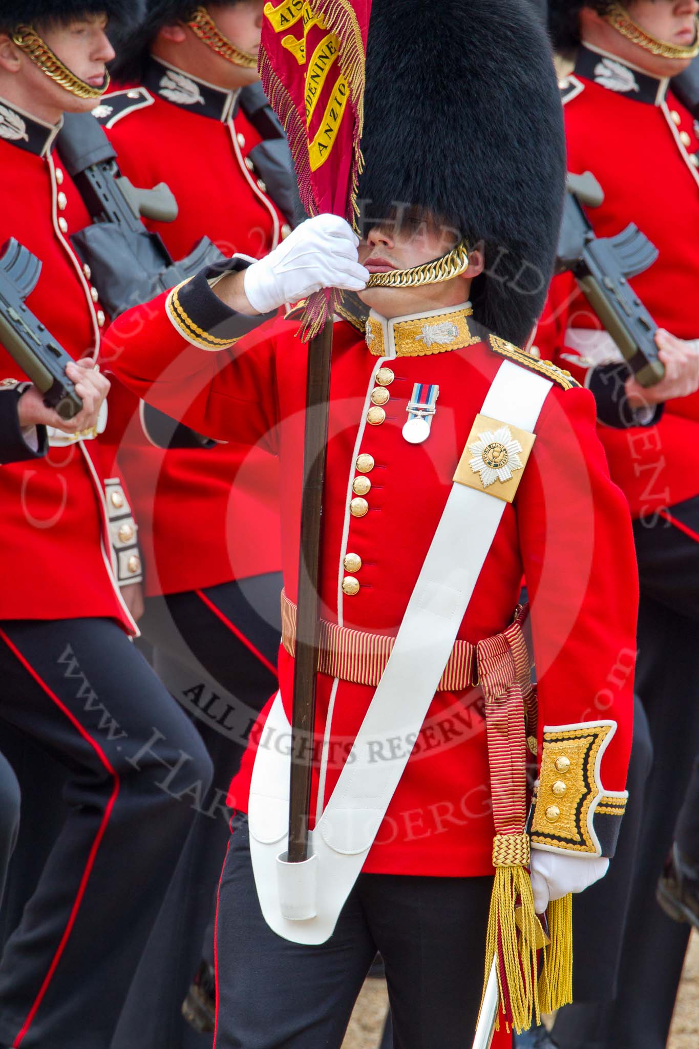 Trooping the Colour 2011: Close-up of the Ensign, Lieutenant Tom Ogilvy, carrying the Colour in his white colour belt..
Horse Guards Parade, Westminster,
London SW1,
Greater London,
United Kingdom,
on 11 June 2011 at 11:35, image #232