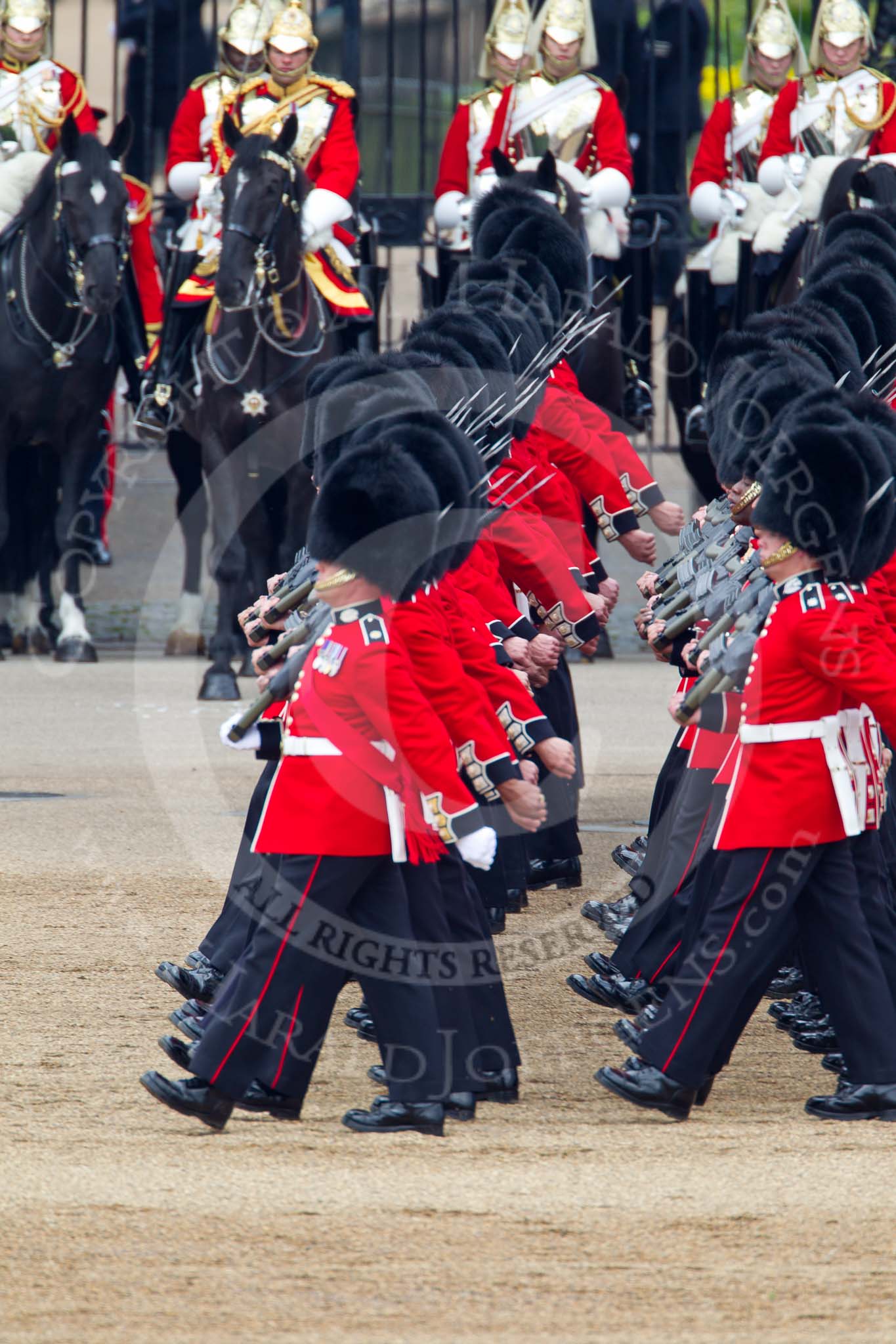 Trooping the Colour 2011: No. 3 Guard, F Company Scots Guards, during the March Past. In the background, The Life Guards from the Household Cavalry..
Horse Guards Parade, Westminster,
London SW1,
Greater London,
United Kingdom,
on 11 June 2011 at 11:43, image #274