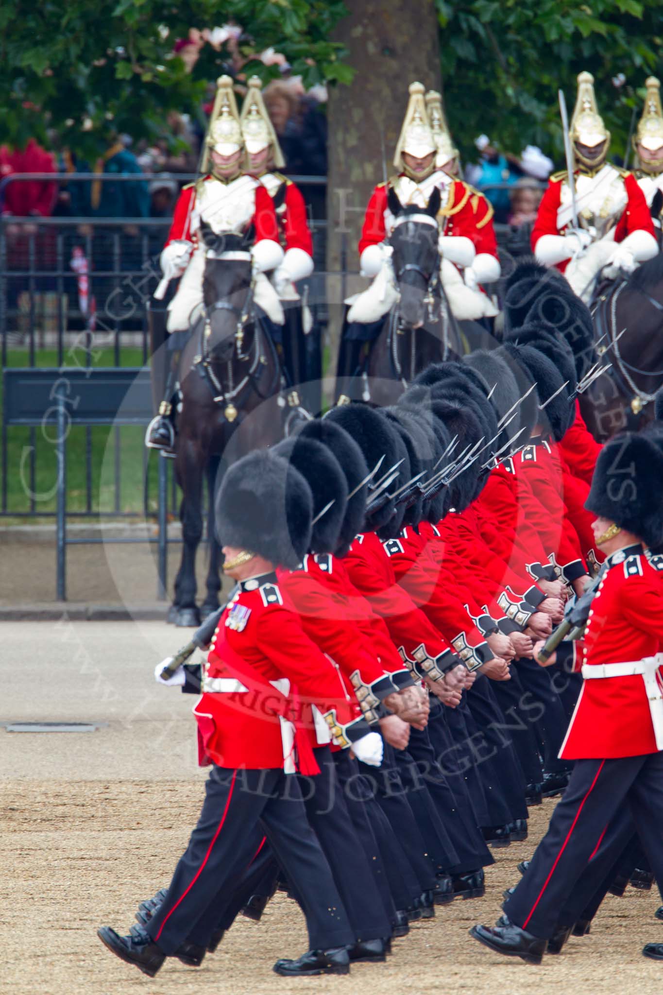Trooping the Colour 2011: No. 1 Guard, the Escort to the Colour, during the March Past. In the background, The Life Guards from the Household Cavalry..
Horse Guards Parade, Westminster,
London SW1,
Greater London,
United Kingdom,
on 11 June 2011 at 11:43, image #275