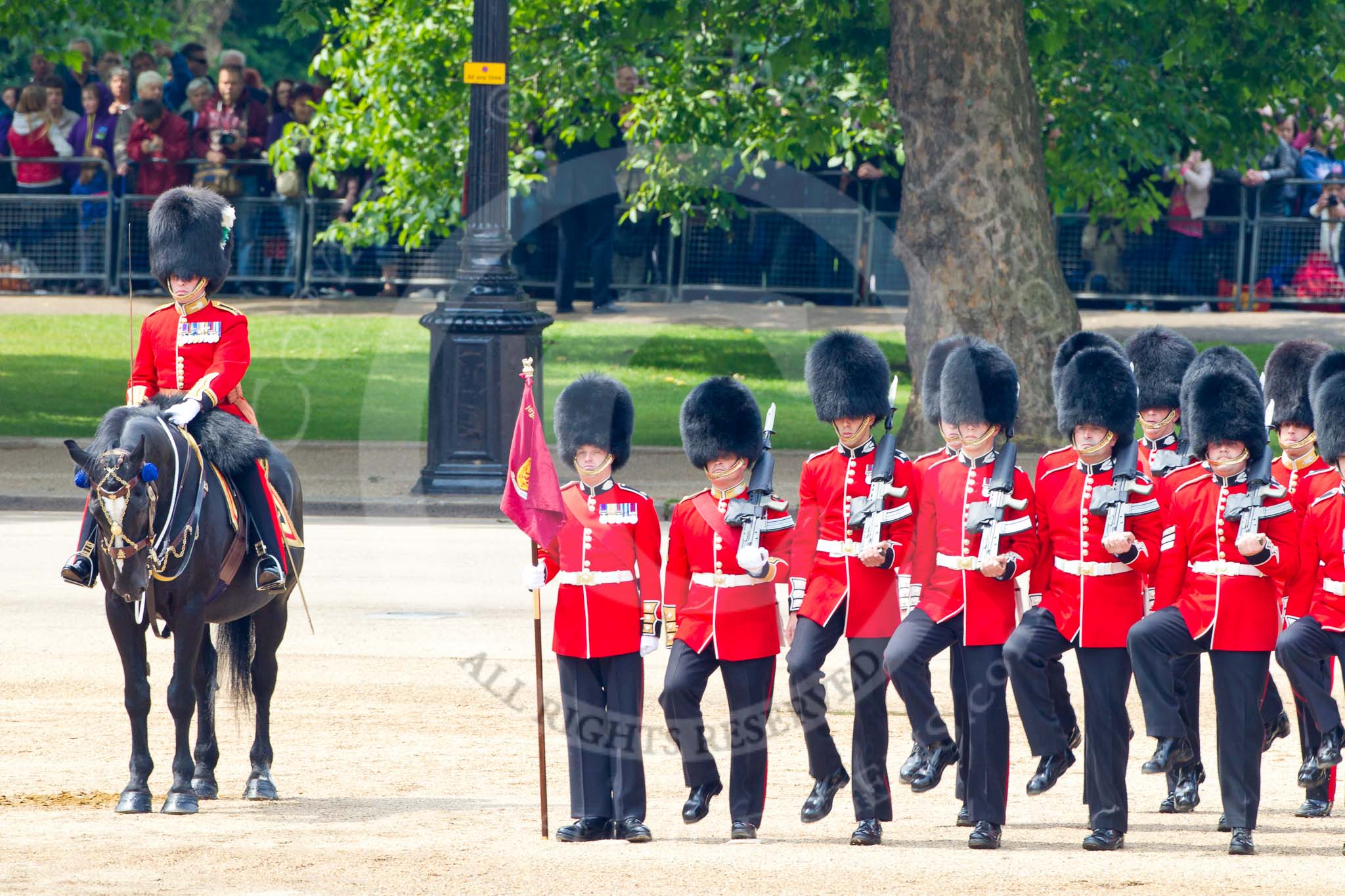 Trooping the Colour 2011: The Major of the Parade, Major Benedict Peter Norman Ramsay, Welsh Guards, on horseback, next to the  No. 1 Guard. the Escort to the Colour..
Horse Guards Parade, Westminster,
London SW1,
Greater London,
United Kingdom,
on 11 June 2011 at 11:51, image #307