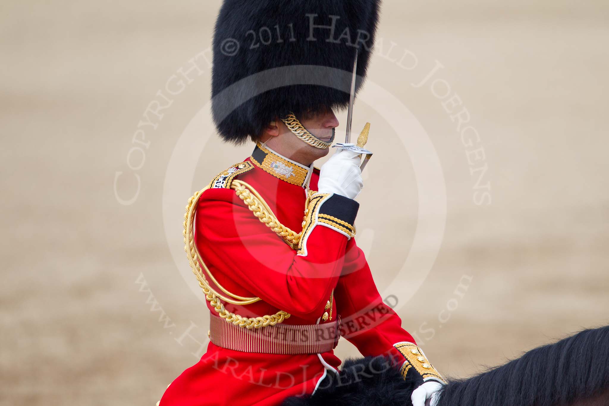 Trooping the Colour 2011: Close-up of The Field Officer, Lieutenant Colonel Lincoln P M Jopp..
Horse Guards Parade, Westminster,
London SW1,
Greater London,
United Kingdom,
on 11 June 2011 at 12:07, image #394