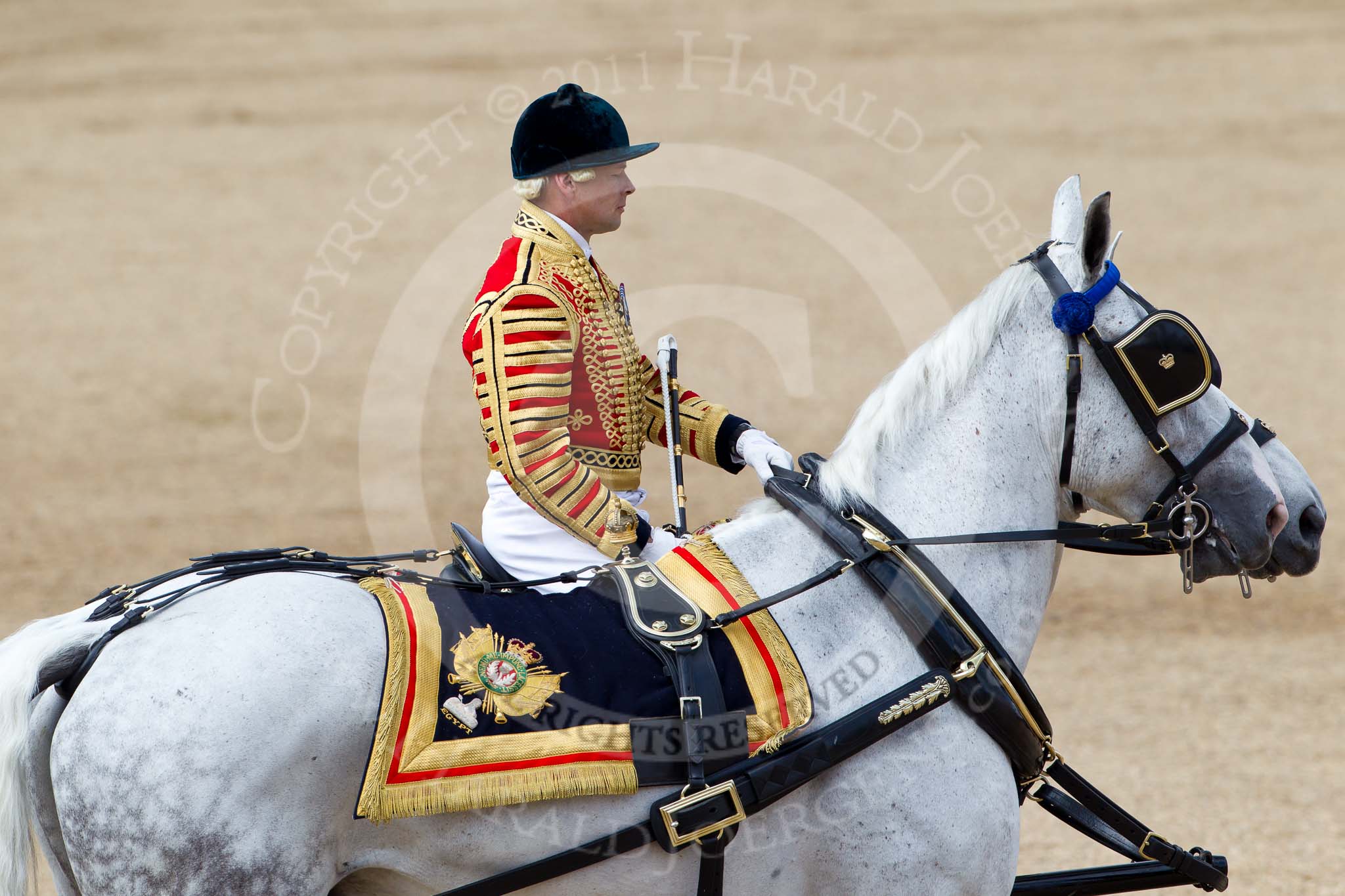 Trooping the Colour 2011: Jack Hargreaves, Head Coachman, riding one of the two Winsor Grey horses that pull the ivory mounted phaeton..
Horse Guards Parade, Westminster,
London SW1,
Greater London,
United Kingdom,
on 11 June 2011 at 12:10, image #413
