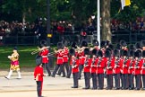 Trooping the Colour 2011: Drum Major Stephen Staite, Grenadier Guards, leading the Band of the Grenadier Guards past No. 5 Guard, 1st Battalion Welsh Guards..
Horse Guards Parade, Westminster,
London SW1,
Greater London,
United Kingdom,
on 11 June 2011 at 10:27, image #36