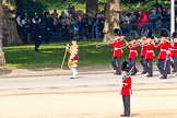 Trooping the Colour 2011: Drum Major Stephen Staite, Grenadier Guards, leading the Band of the Grenadier Guards to the parade ground..
Horse Guards Parade, Westminster,
London SW1,
Greater London,
United Kingdom,
on 11 June 2011 at 10:27, image #37