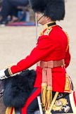 Trooping the Colour 2011: The Field Officer in Brigade Waiting, Lieutenant Colonel Lincoln P M Jopp, Scots Guards..
Horse Guards Parade, Westminster,
London SW1,
Greater London,
United Kingdom,
on 11 June 2011 at 10:41, image #68