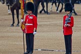 Trooping the Colour 2011: The Queen's Colour of the 1st Battalion Scots Guards, bearing 43 of the battalions 93 battle honours (quote Huw Edwards, BBC). Holding the flag, Colour Sergeant Chris Millin, has 24 years of service in the Scots Guards, it is fourth and final Birthday Parade. To his right one of the two sentries..
Horse Guards Parade, Westminster,
London SW1,
Greater London,
United Kingdom,
on 11 June 2011 at 10:56, image #102